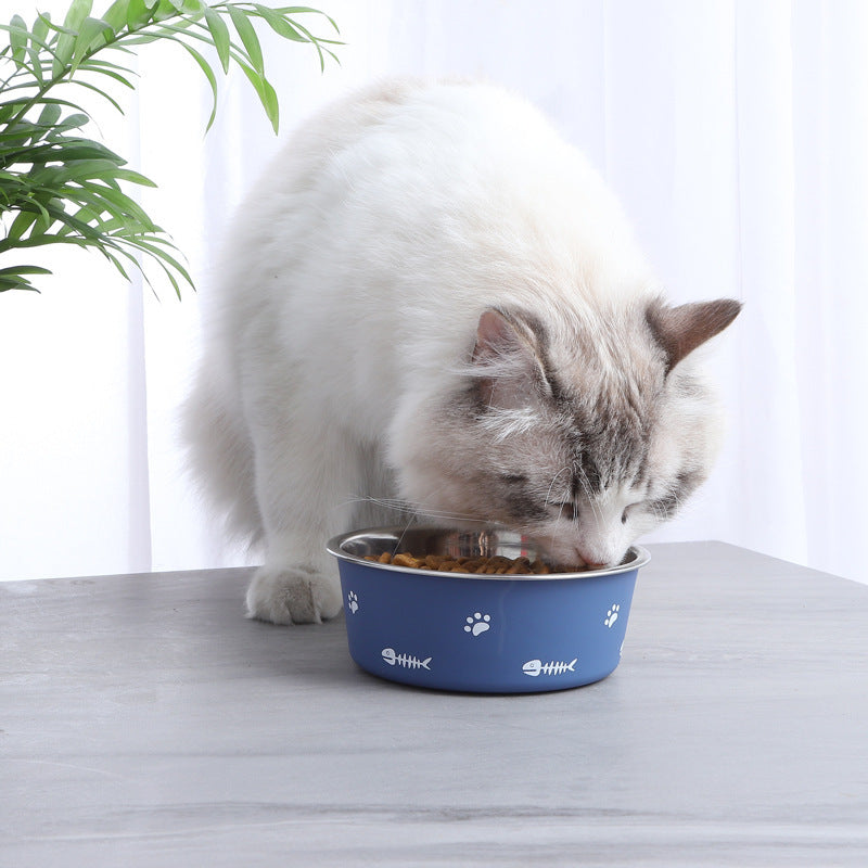 Dog/cat Bowl