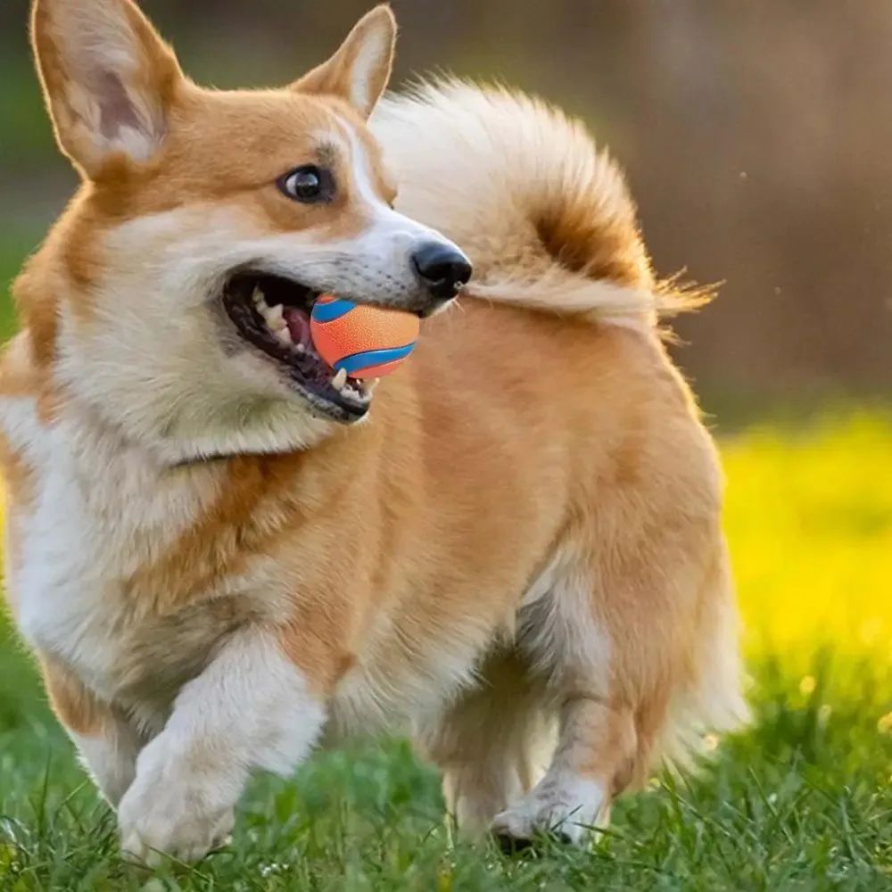 Durable rubber ball