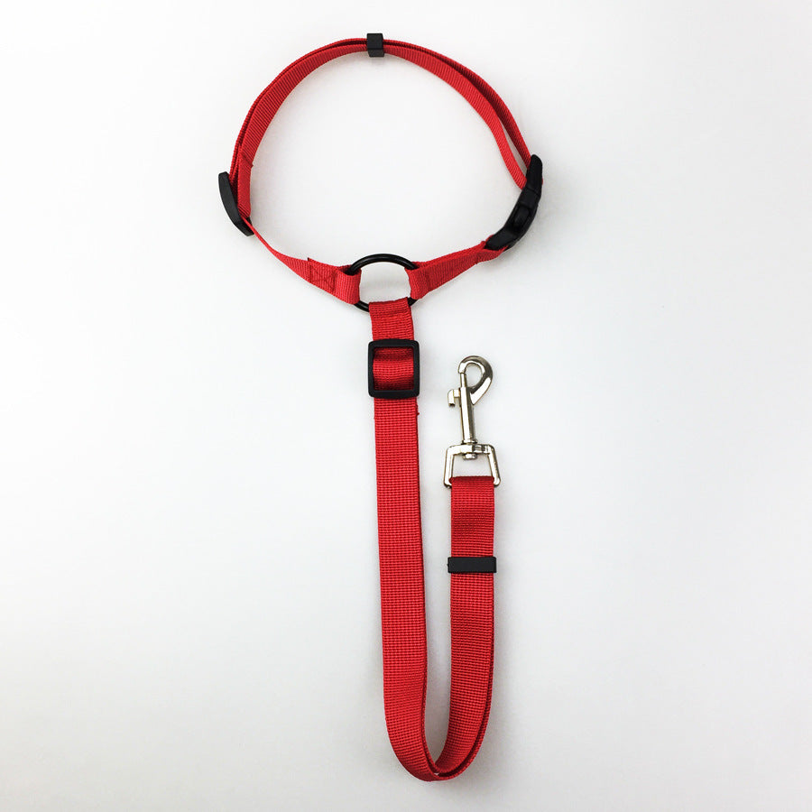 Safety Leash
