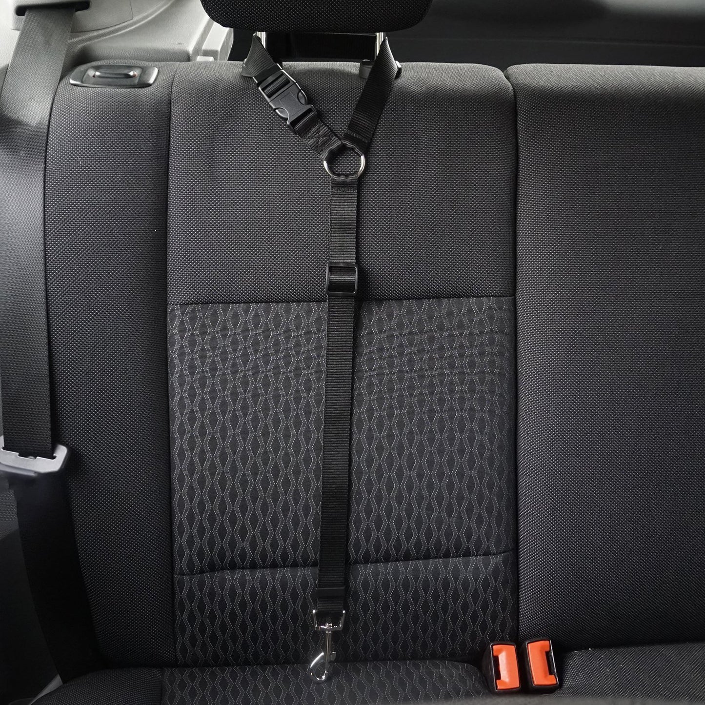 Safety Leash