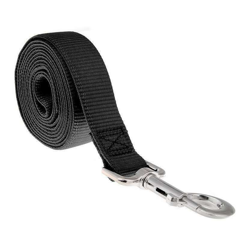 Long Pet Leash