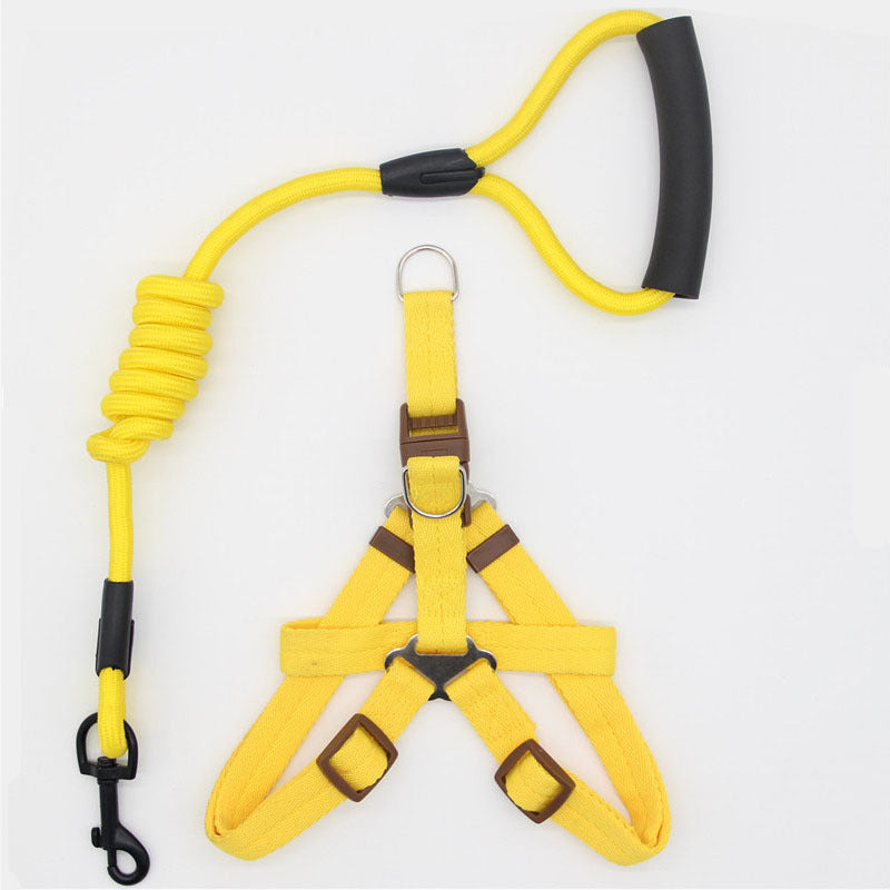 Simple Dog Leash Set