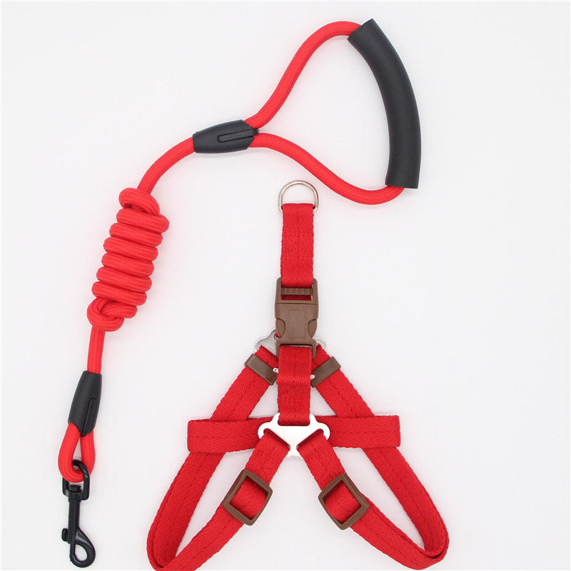 Simple Dog Leash Set