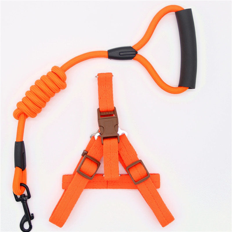 Simple Dog Leash Set