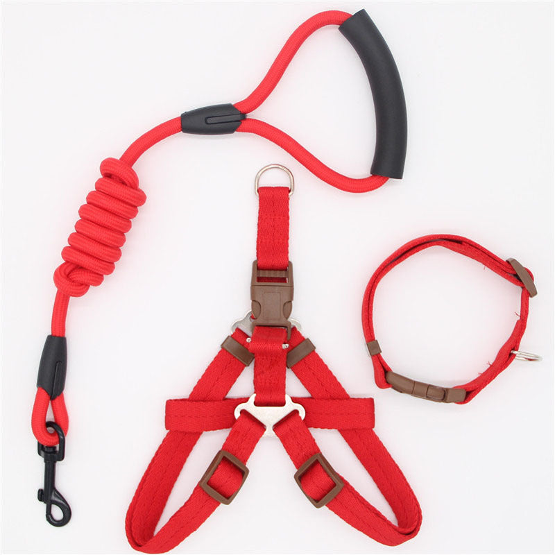 Simple Dog Leash Set