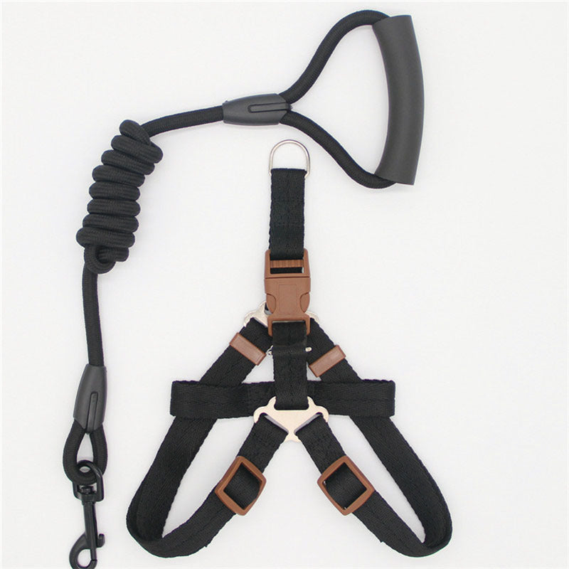 Simple Dog Leash Set