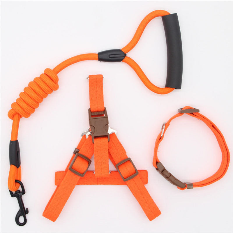 Simple Dog Leash Set