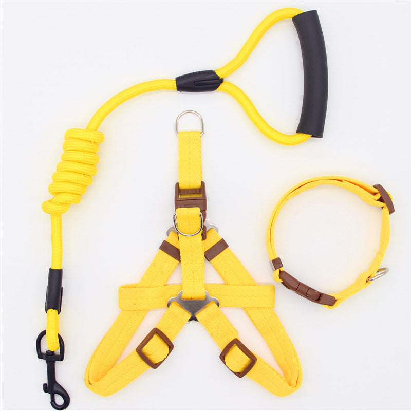 Simple Dog Leash Set