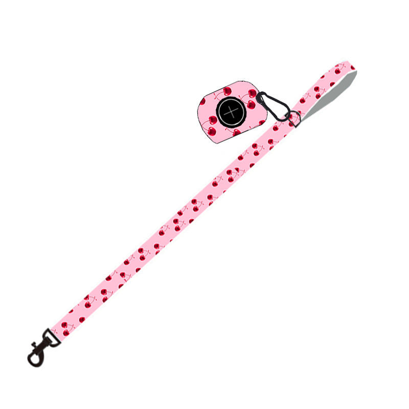 Dog Leash Set