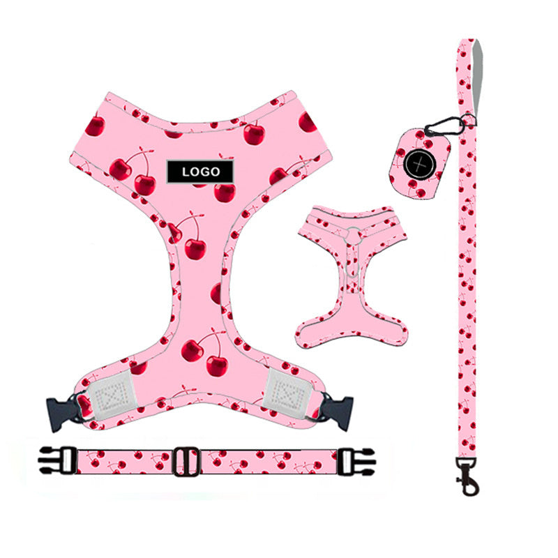Dog Leash Set