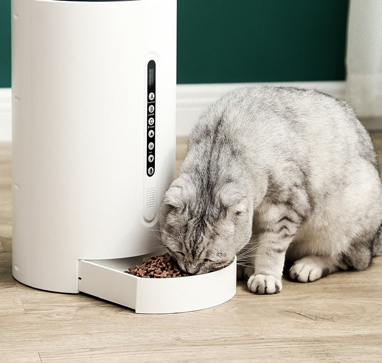 Smart Feeder With Built In Timer