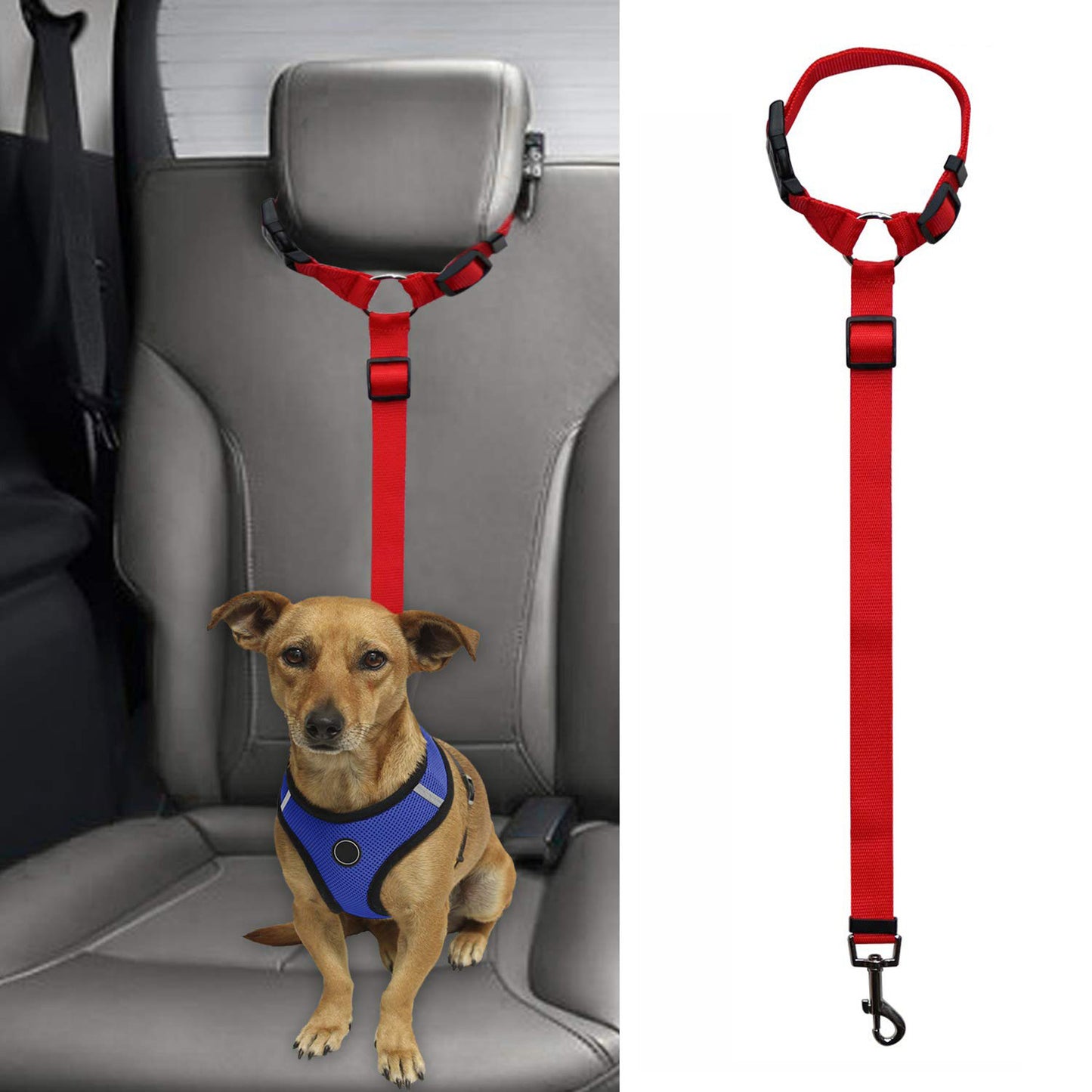Safety Leash