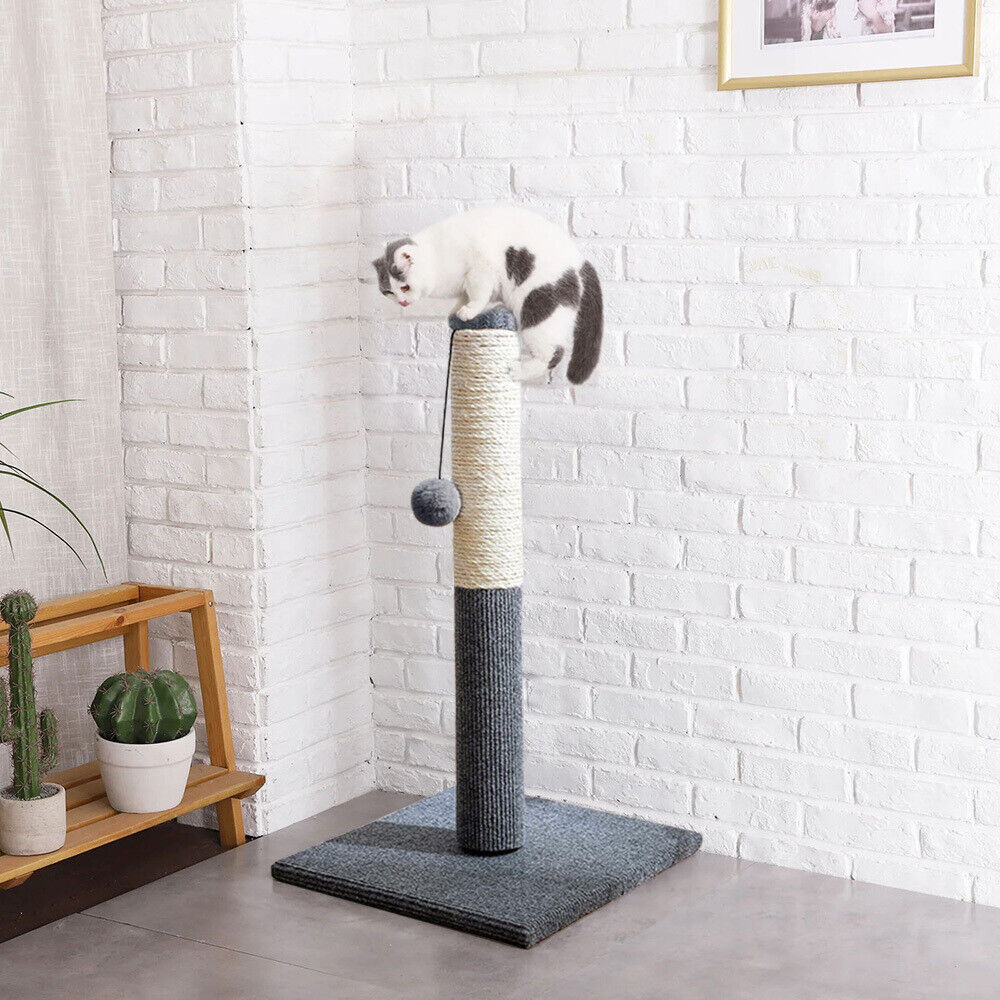 Large Cat Scratcher Heavy Duty
