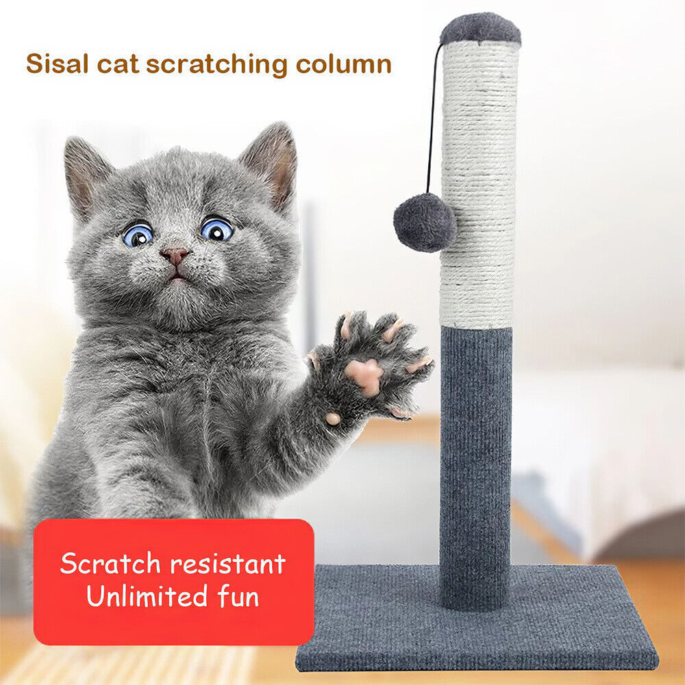 Large Cat Scratcher Heavy Duty