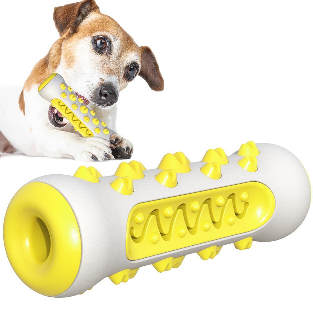 Dog Squeaky Toy