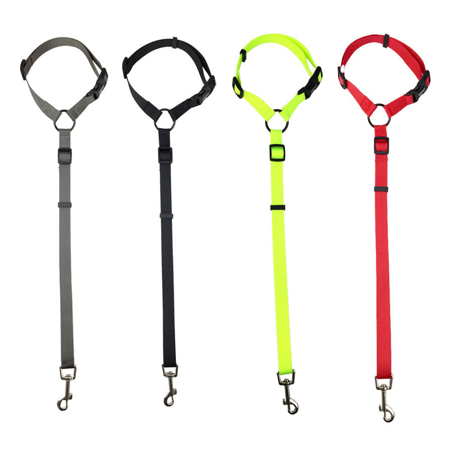 Safety Leash
