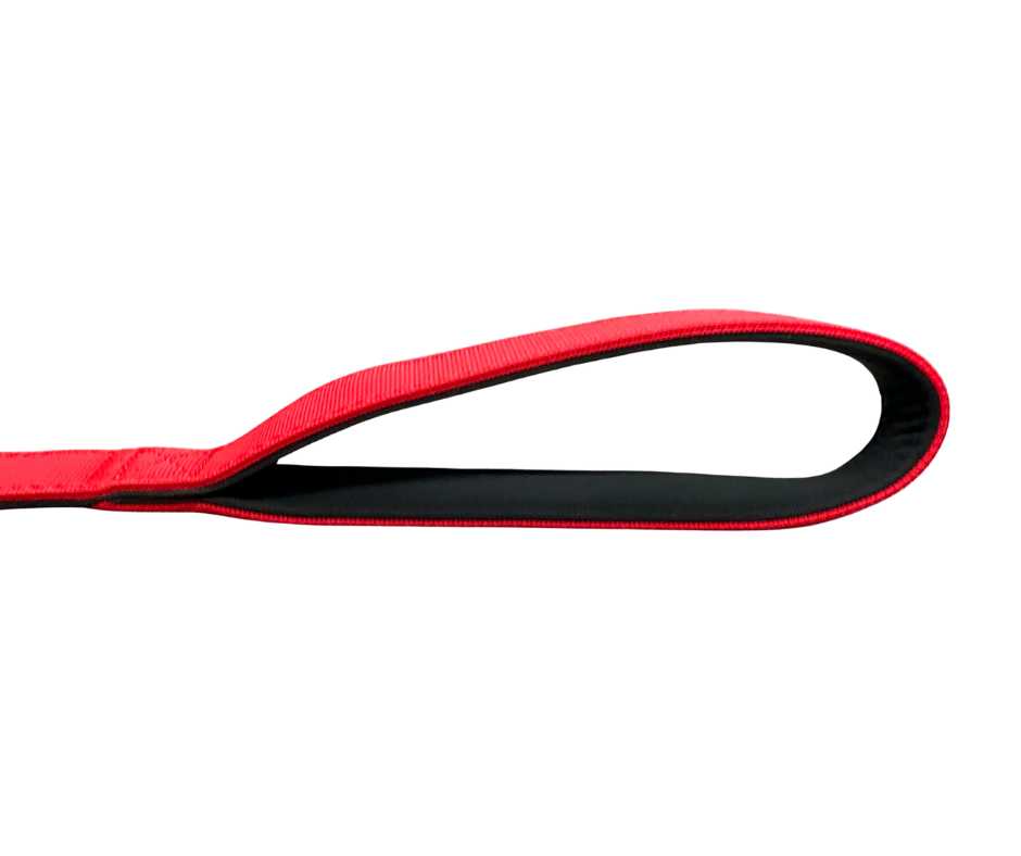 BTactical™ Extra-Strong Nylon Carabiner Clip Dog Lead | Citrus Red