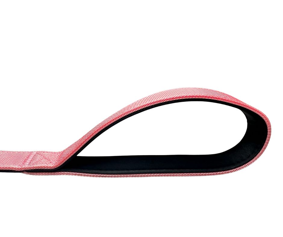 BTactical™ Nylon Carabiner Clip Dog Lead | Extra-Strong Anti Pull - Pretty Pink