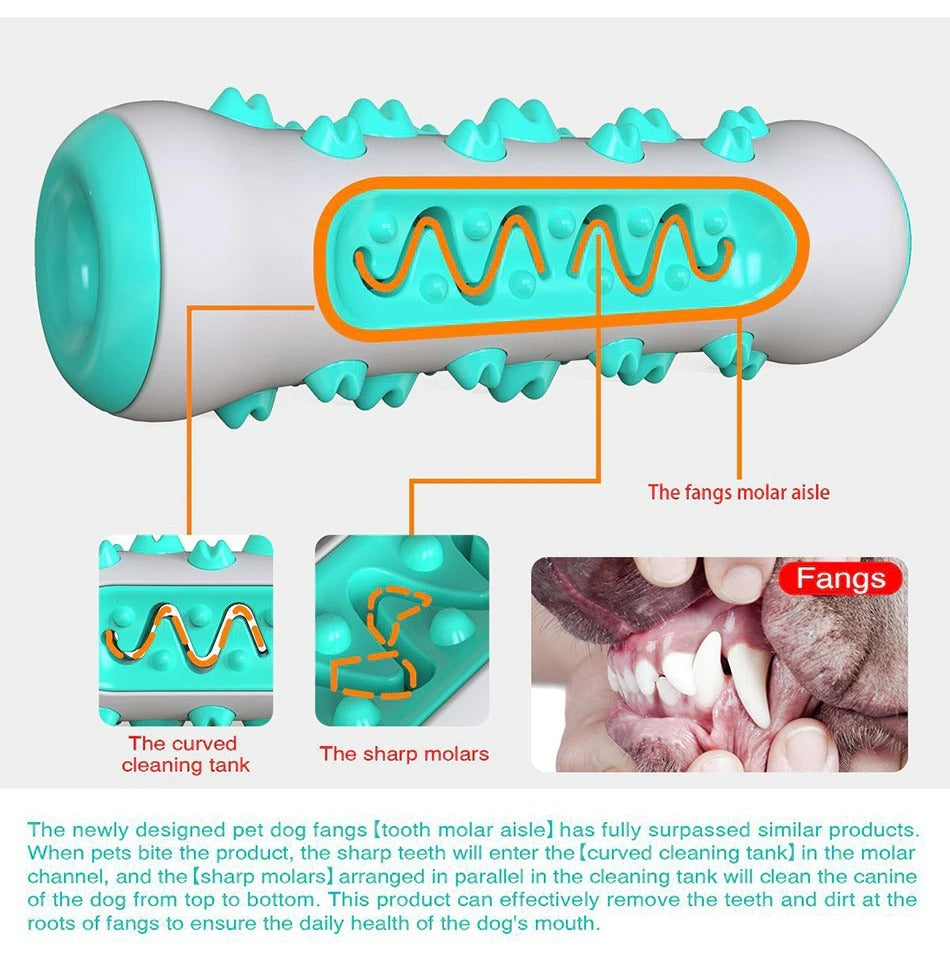 Dog Squeaky Toy