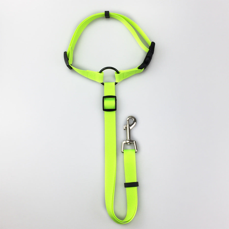 Safety Leash