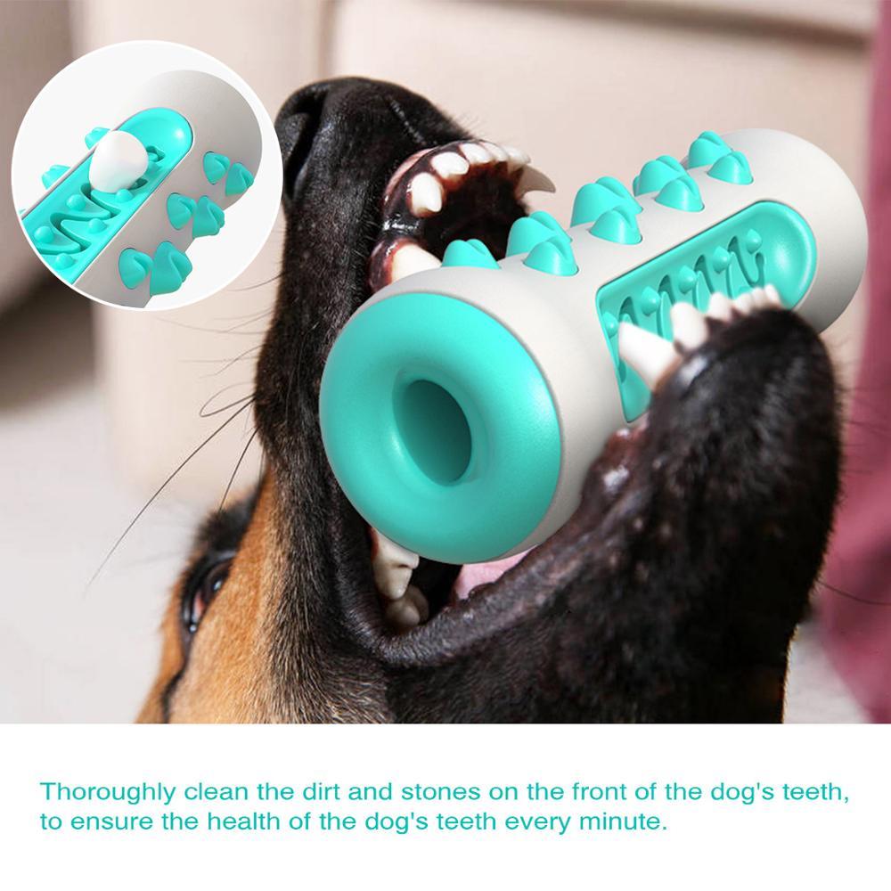 Dog Squeaky Toy