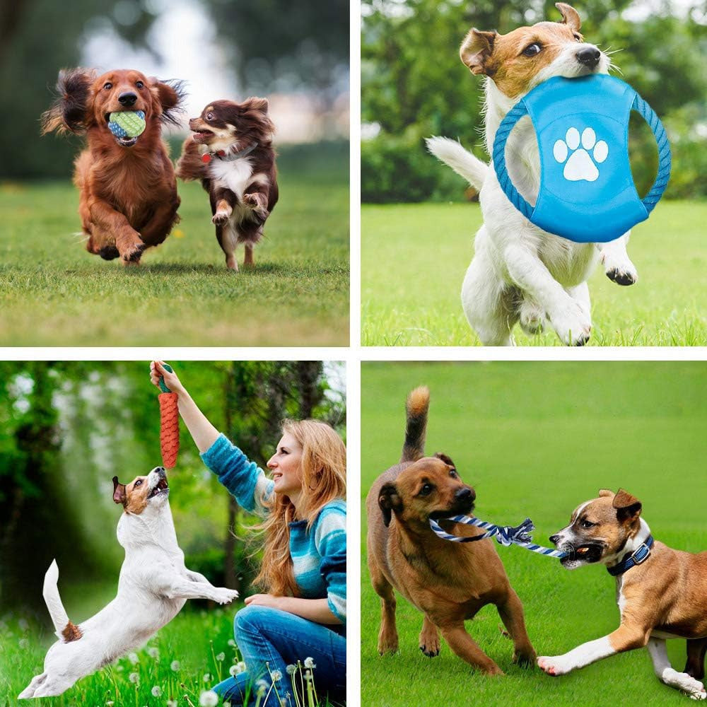 15 Piece Tough Dog Toys Bundle