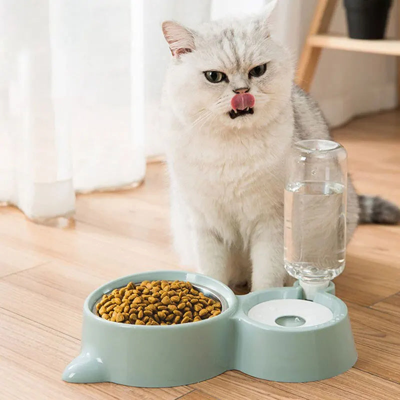 Cat Bowl & Automatic Water Feeder