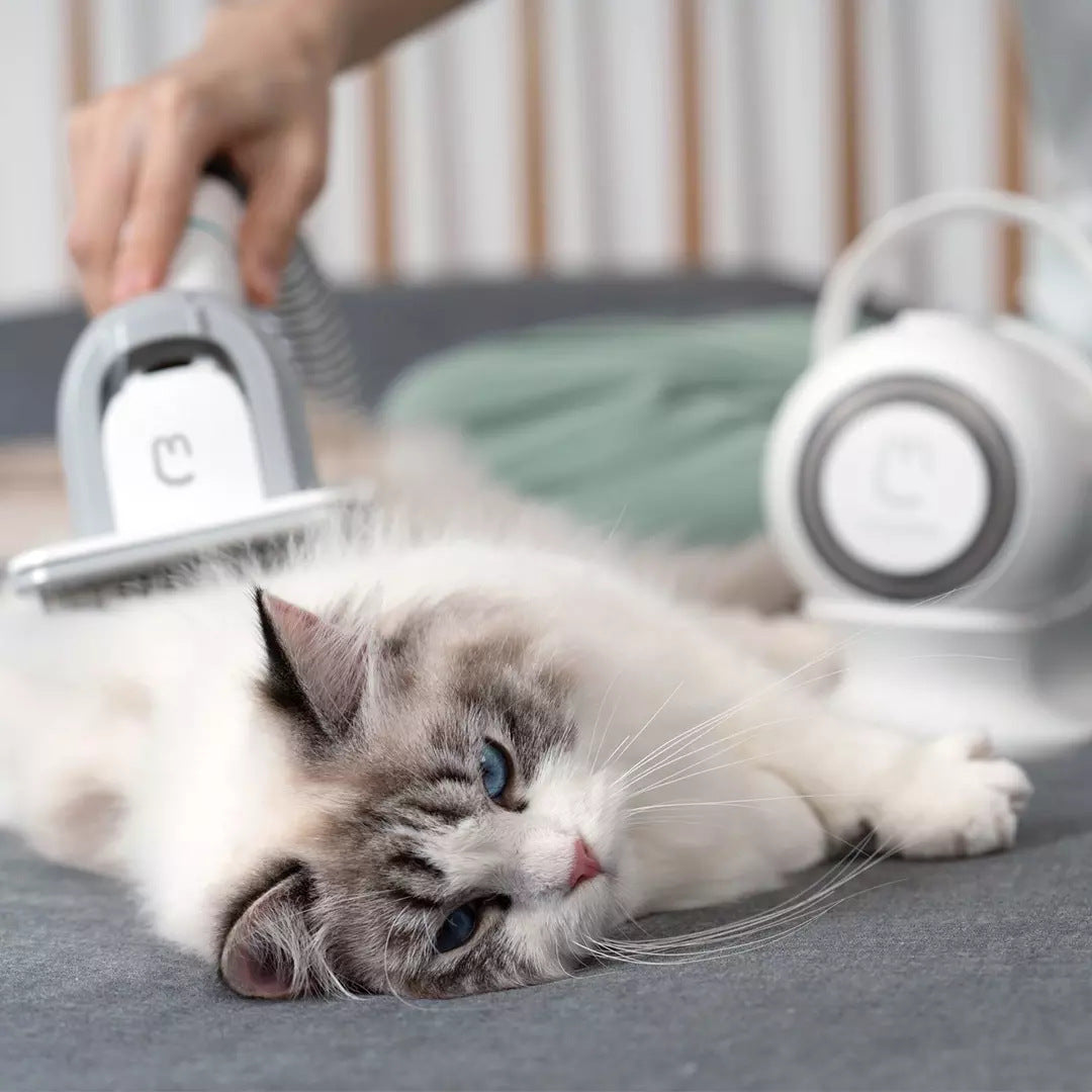 Multifunctional Pet Grooming Kit