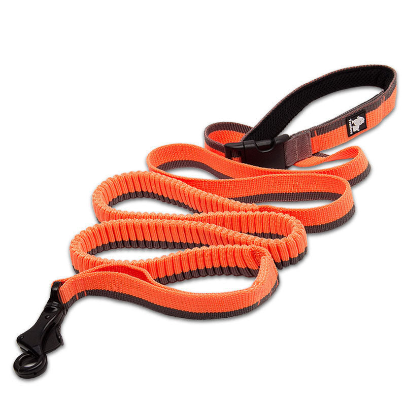 Hands Free Running Leash