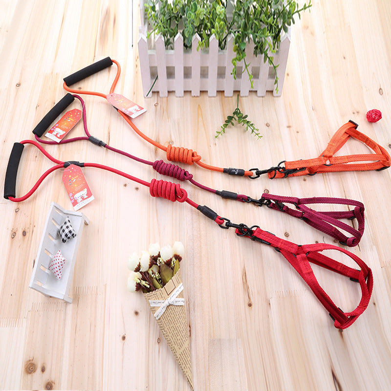 nylon leash
