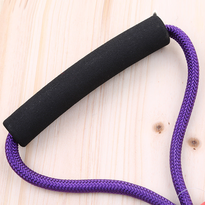 nylon leash