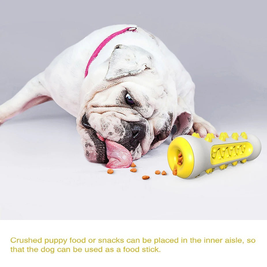Dog Squeaky Toy