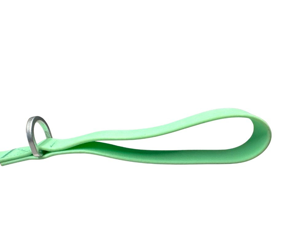 BTactical™ Extra-Strong PVC Carabiner Clip Dog Lead | Pastel Green