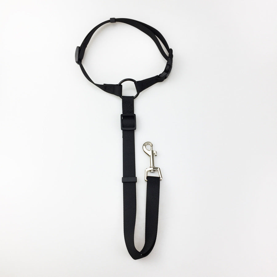 Safety Leash