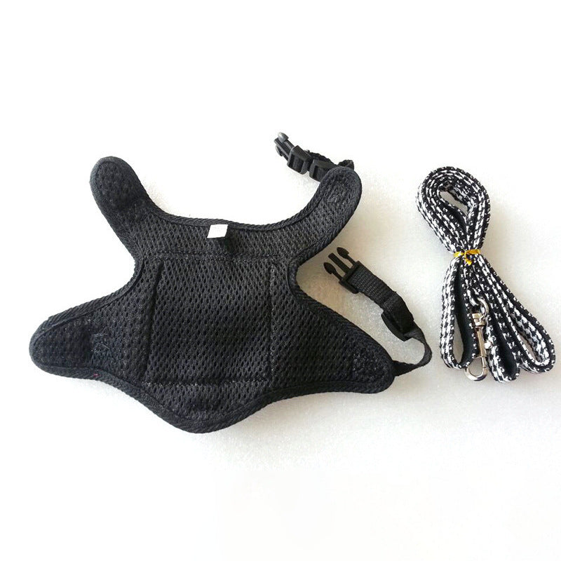 Matching Harness And Lead