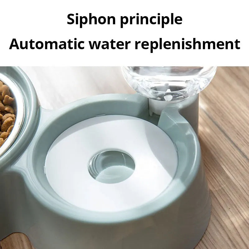 Cat Bowl & Automatic Water Feeder
