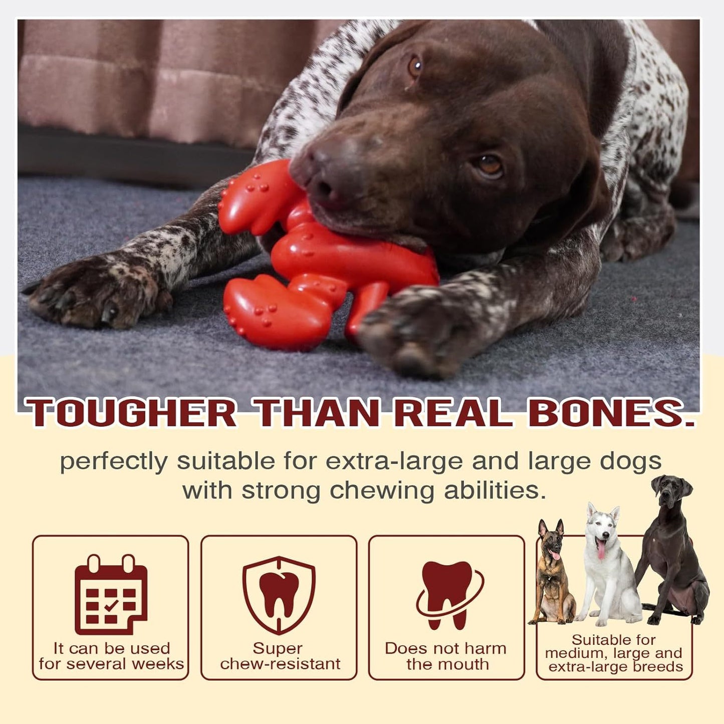 Lobster chew toy for large breeds