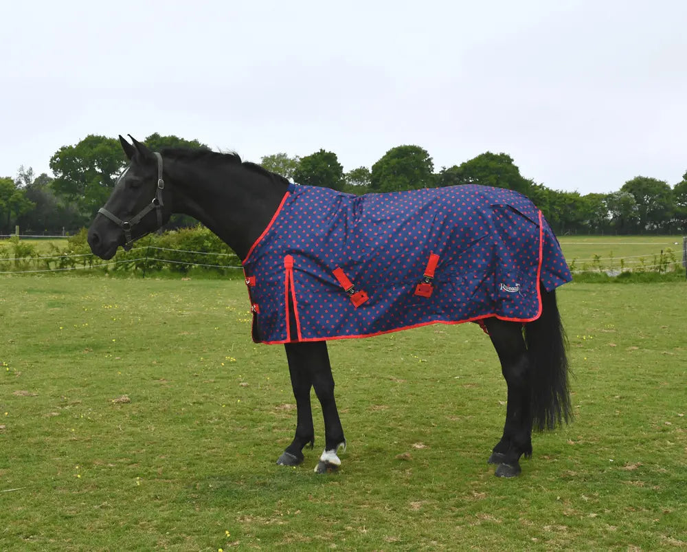 Rhinegold Dottie Torrent Outdoor Rug