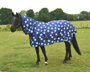 Rhinegold Full Neck Combo Torrent Rug