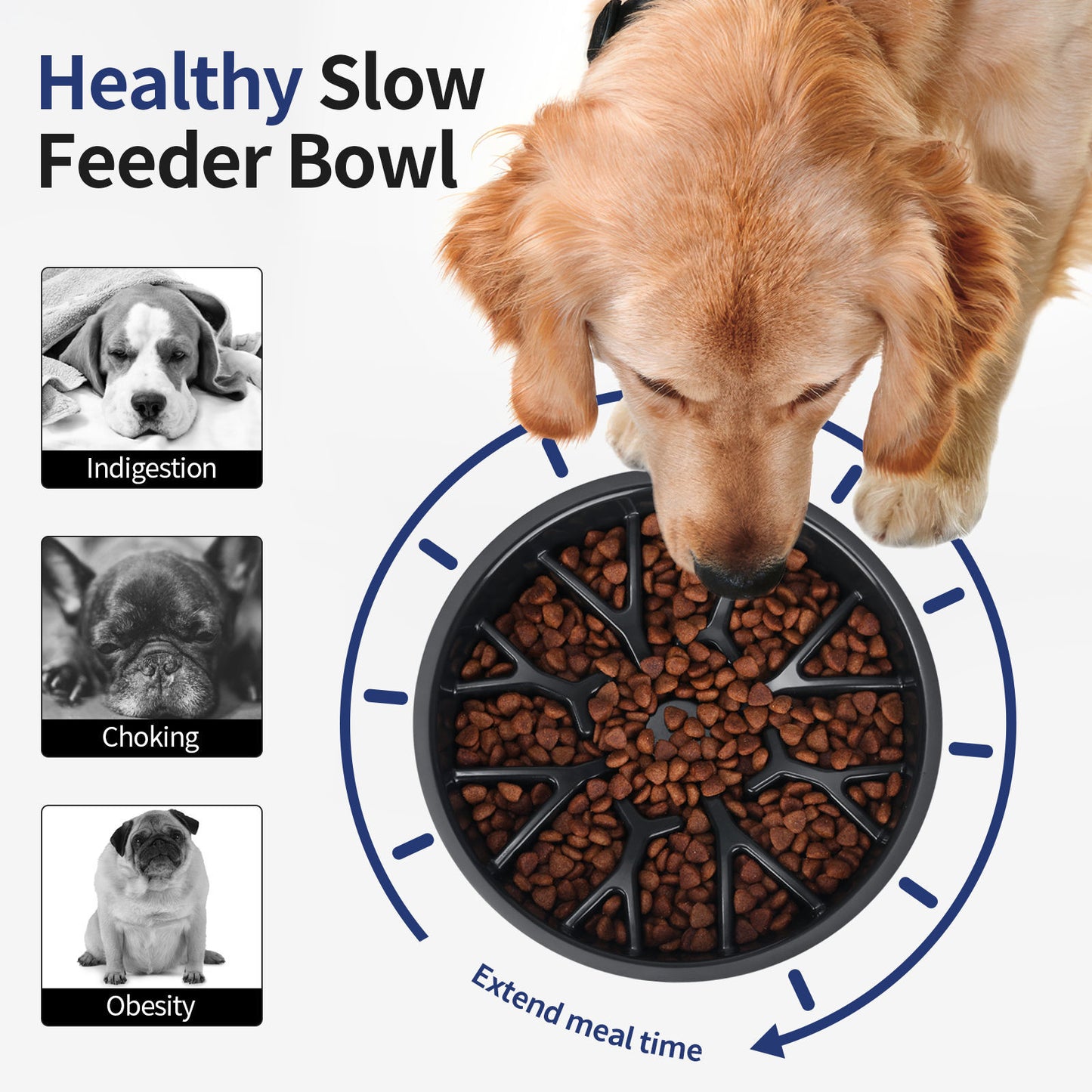 Rubber wheel food bowl - slow feed design