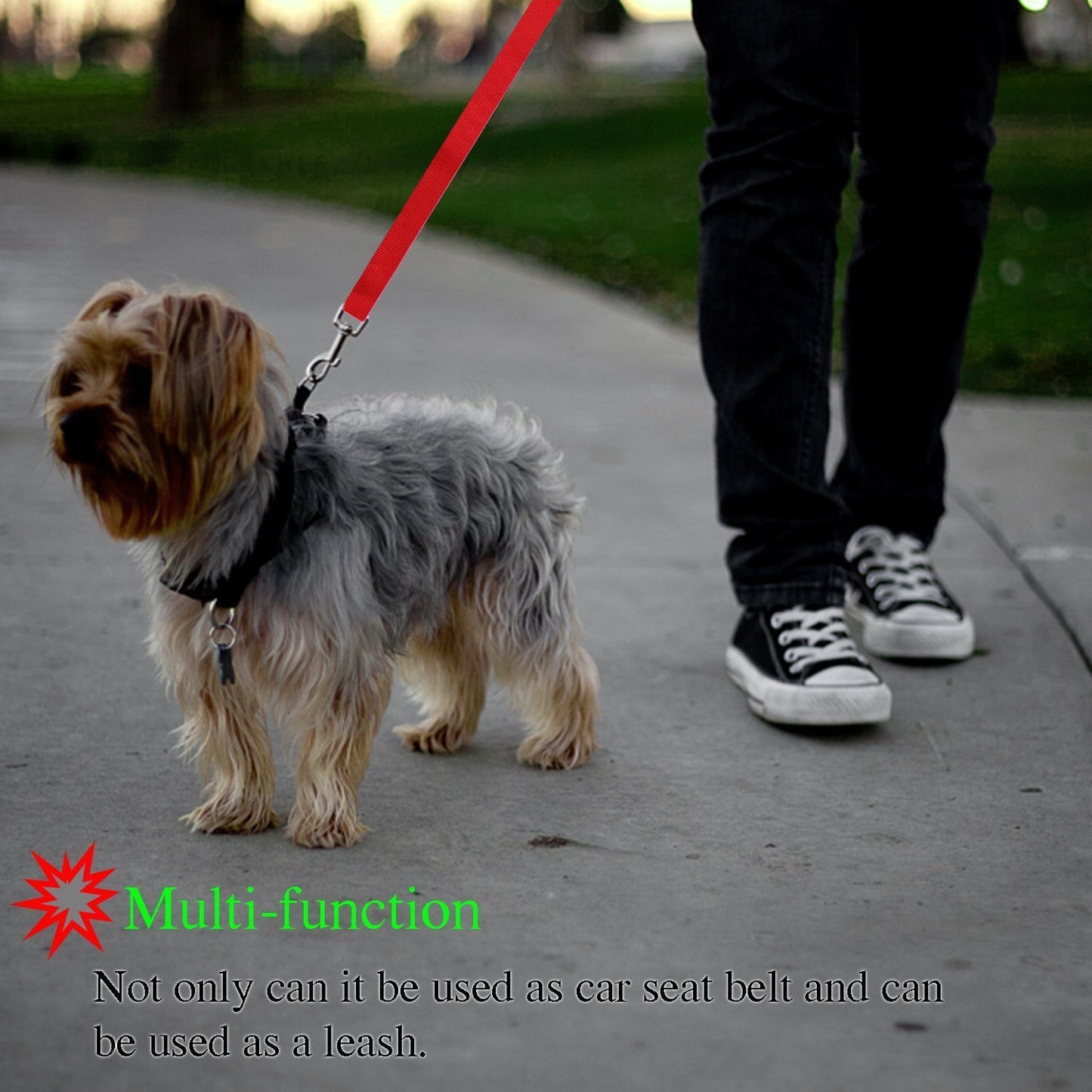 Safety Leash