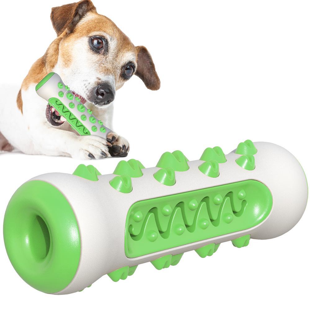 Dog Squeaky Toy