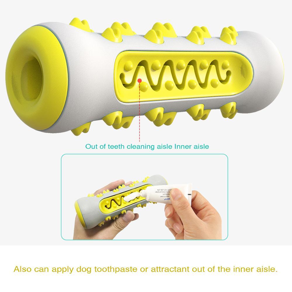 Dog Squeaky Toy