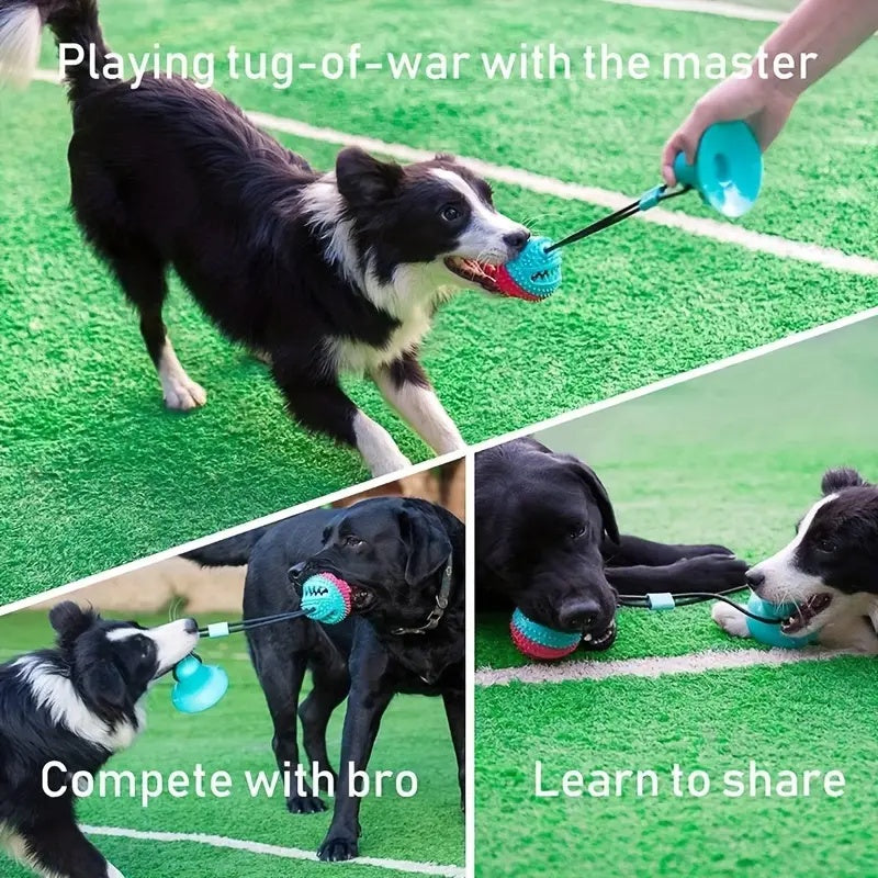 Treat Dispensing Dog Toys For Aggressive Chewers
