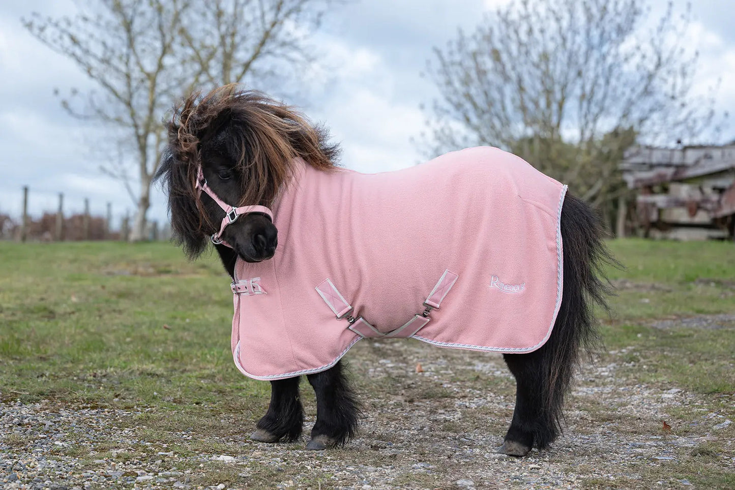 Rhinegold Mini Sorbet Fleece