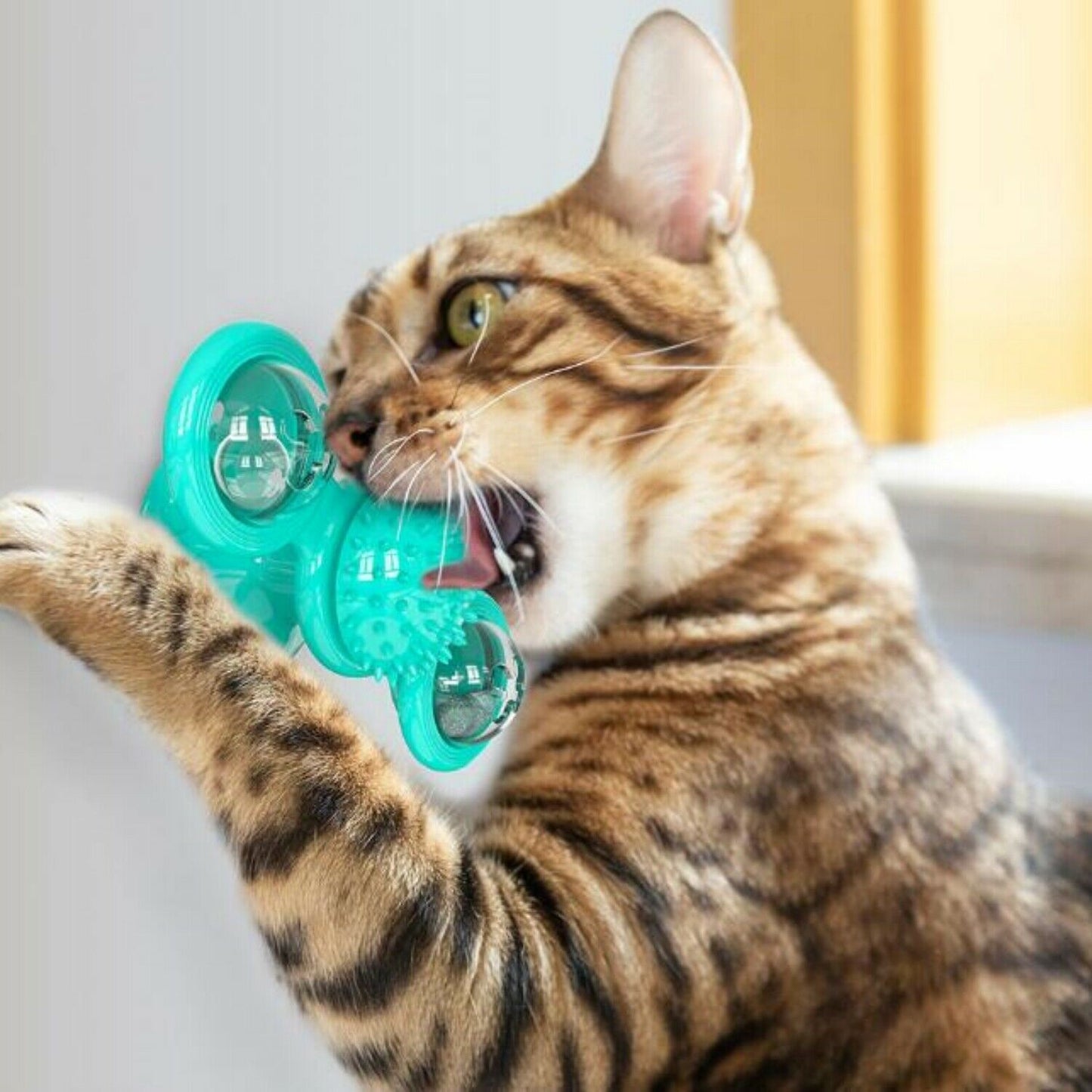 Windmill Rotating Interactive Cat Toy