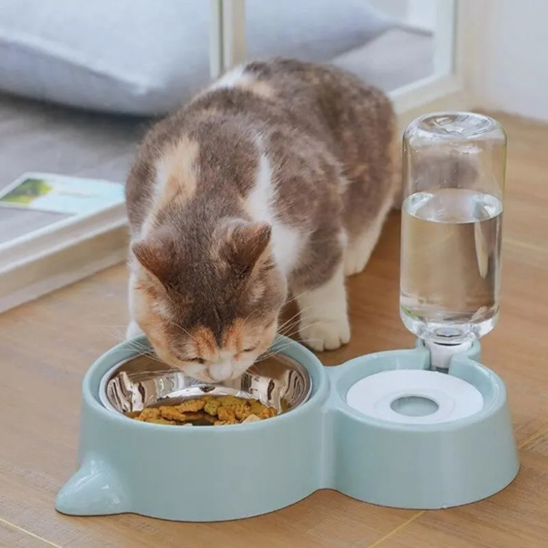 Cat Bowl & Automatic Water Feeder