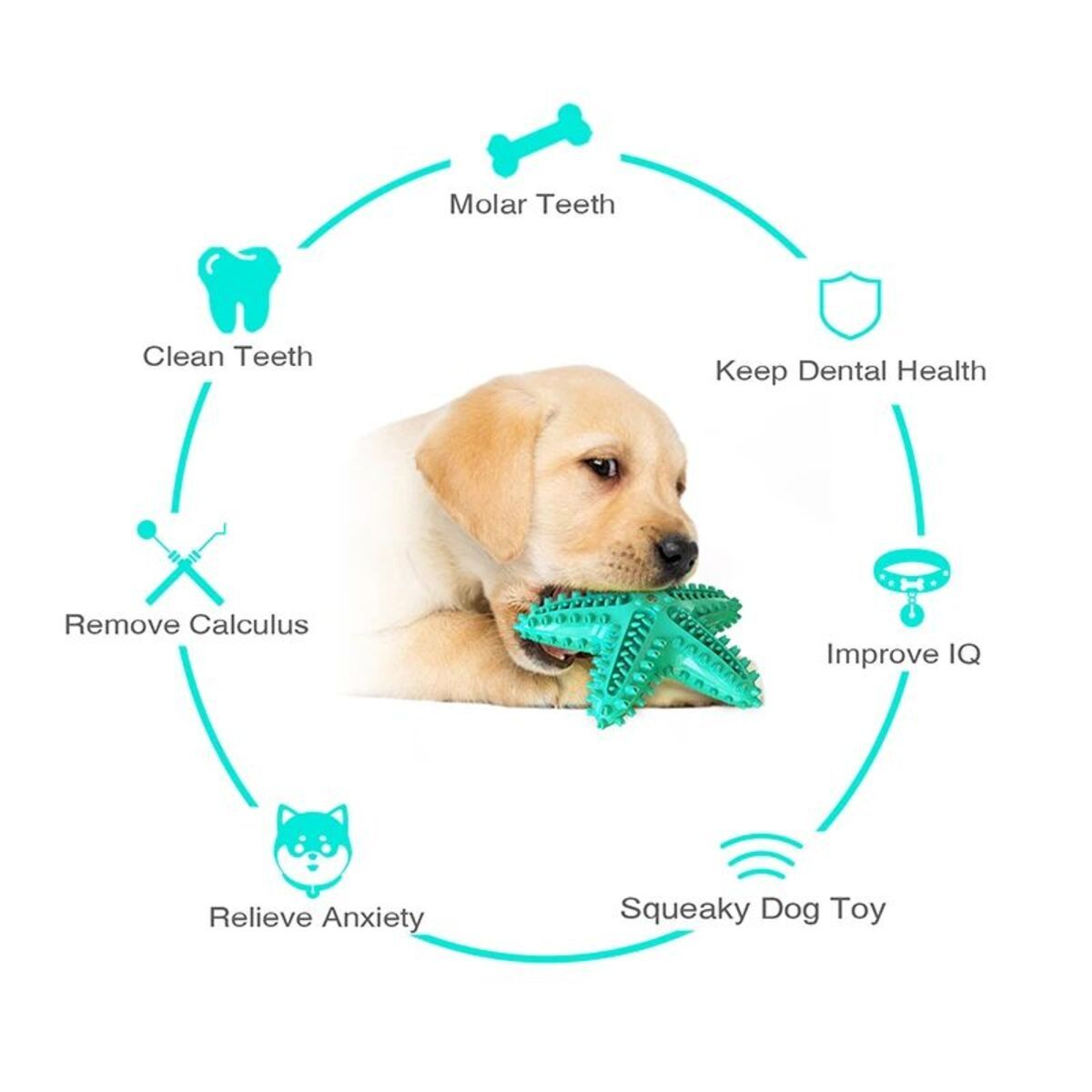 Tooth Cleaning Chew Toy