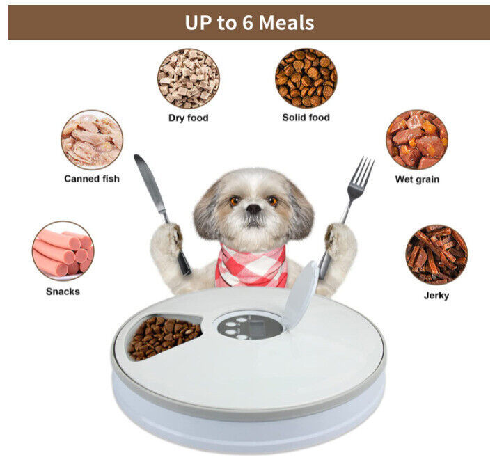 Automatic 6 Meal Timed Pet Feeder
