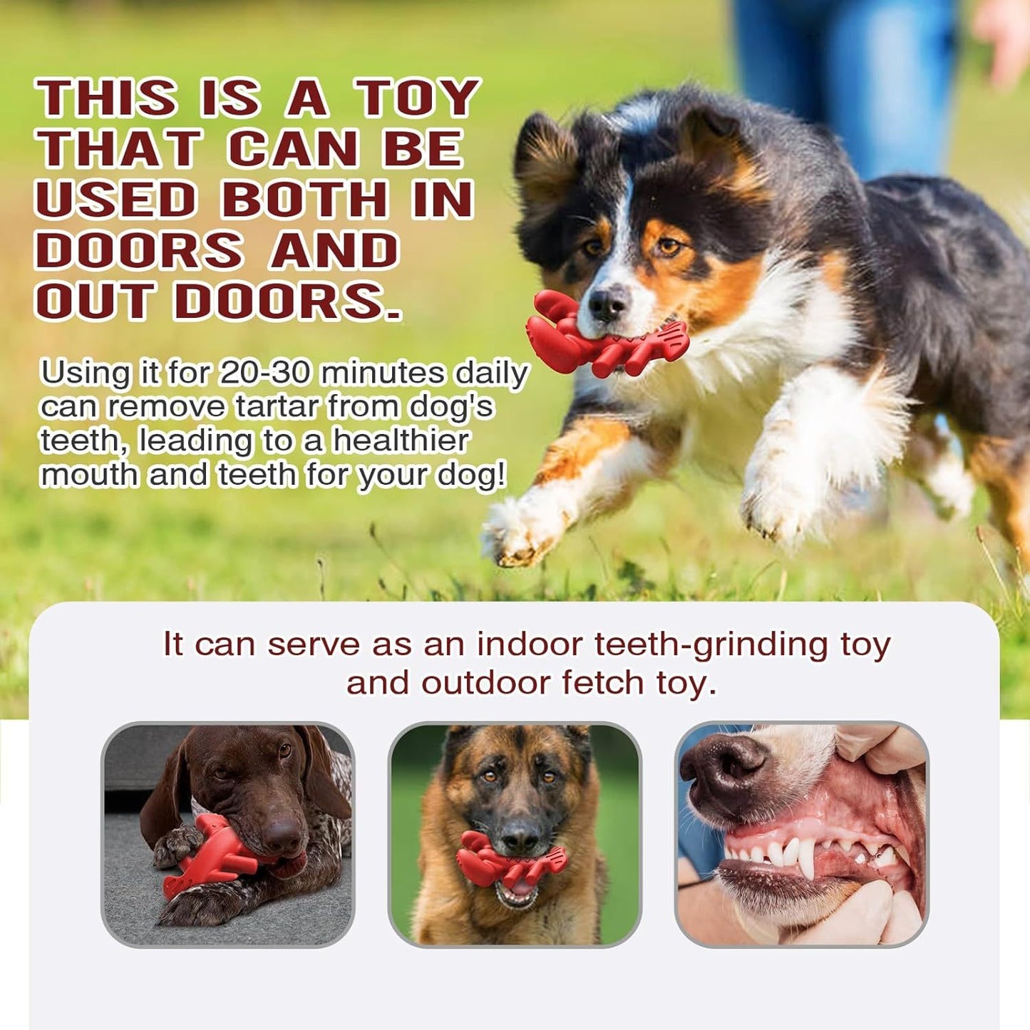 Lobster chew toy for large breeds